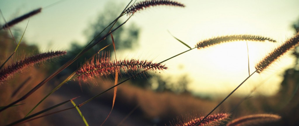slider68_1